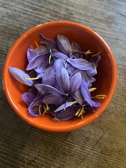 orangene Schüssel mit Safran-Blüten und. Stempeln. Wahnsinns-Hammer-Duft.